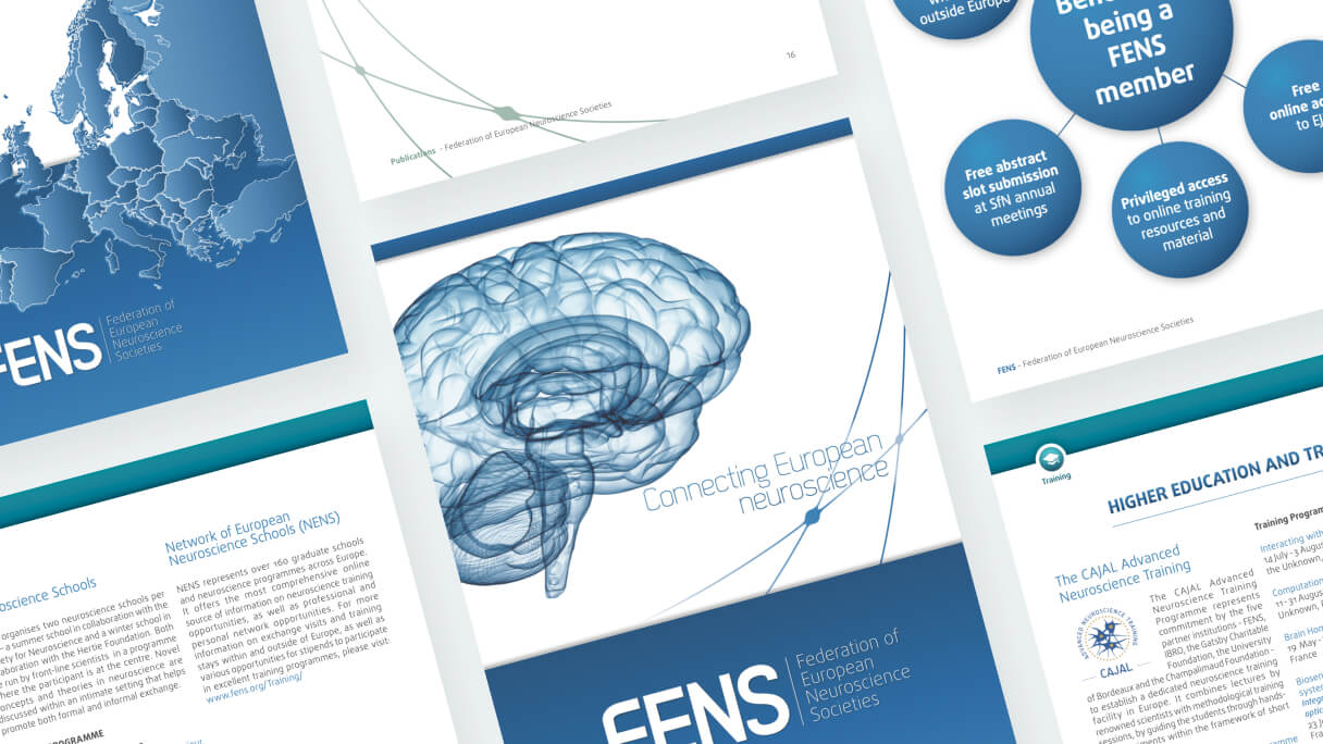FENS mockup 1