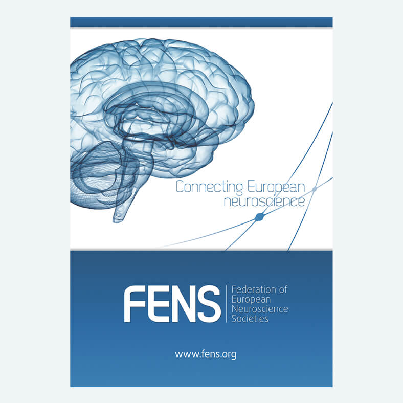 FENS mockup 2