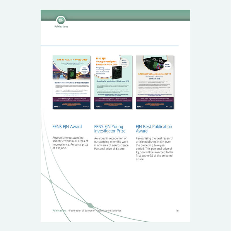 FENS mockup 6